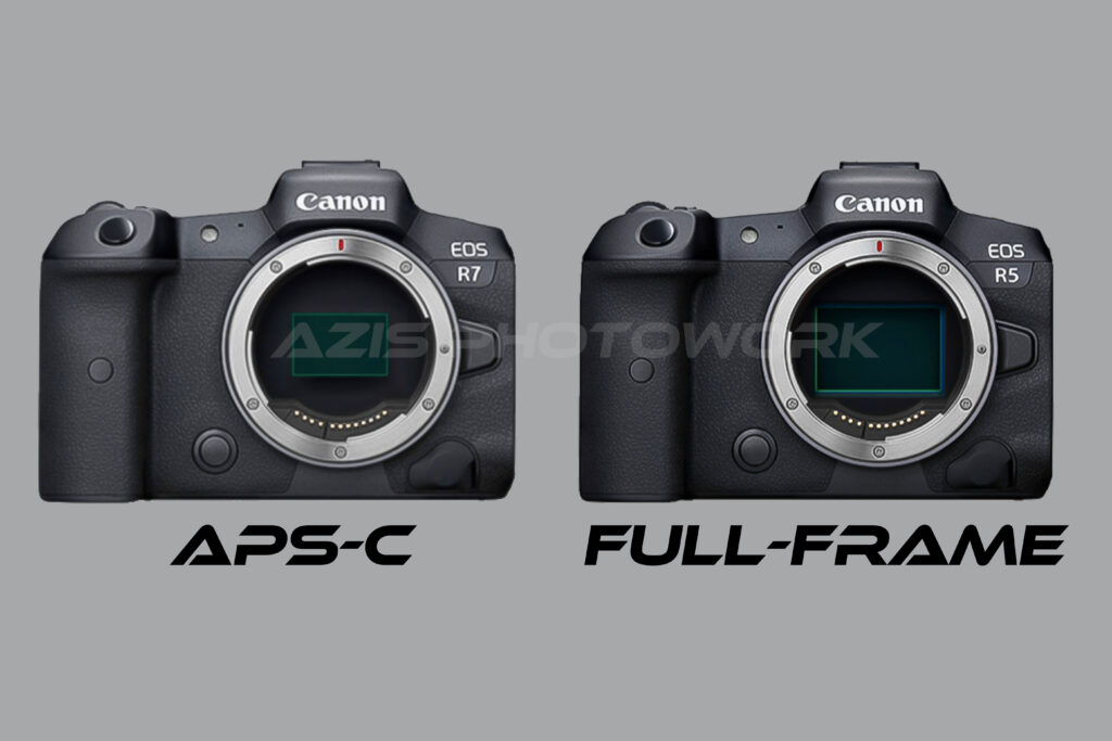 Kamera Full-Frame dan APS-C